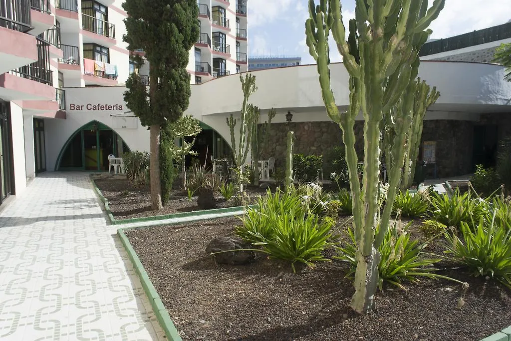 Guinea Flat - Playa Del Ingles Apartment 0*, Playa del Ingles (Gran Canaria) Spain